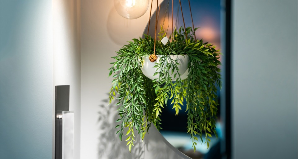 Plantas suspensas: um toque verde e aéreo para sua casa